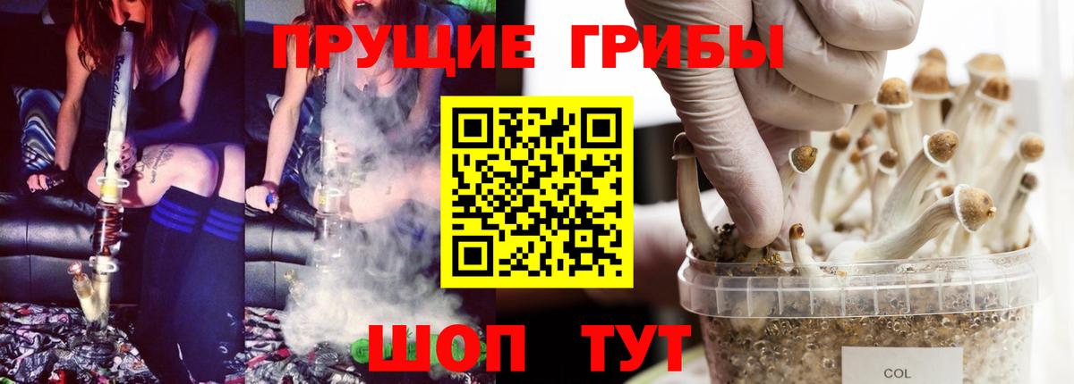 Псилоцибиновые грибы мицелий Ликино-Дулёво